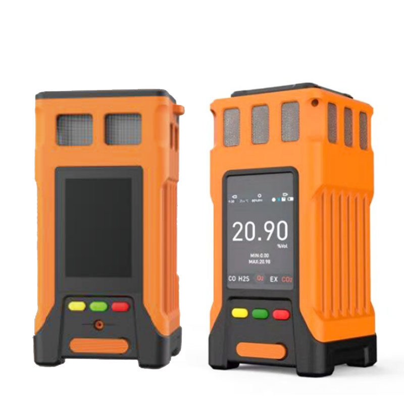 PTM600-S Gases Monitor in Storage Rooms 