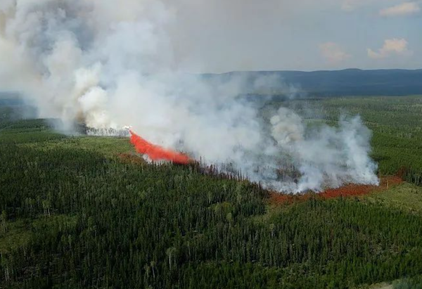 Canadian forest fires release large amounts of carbon dioxide, worsening air quality in many places!