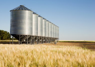 Preserving Grain Quality with Ozone Analysis Instruments: A Sustainable Solution for Grain Storage